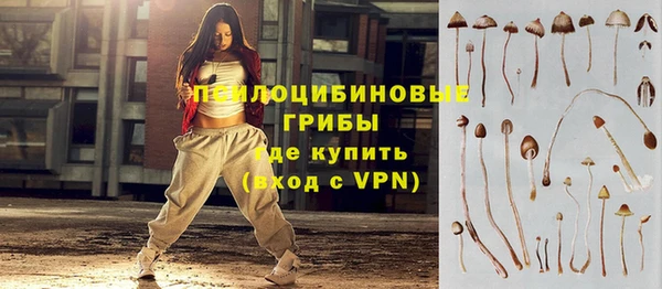 винт Алзамай