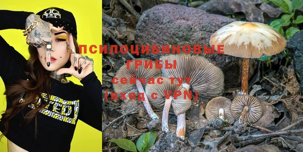 крисы Абдулино